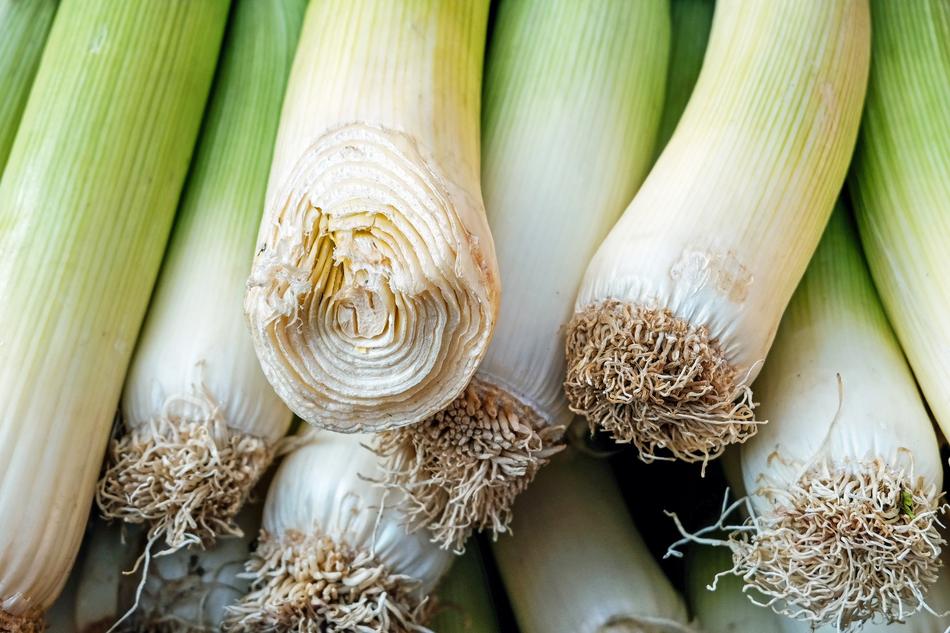 Close-up of the green, white and yellow leek vegetables