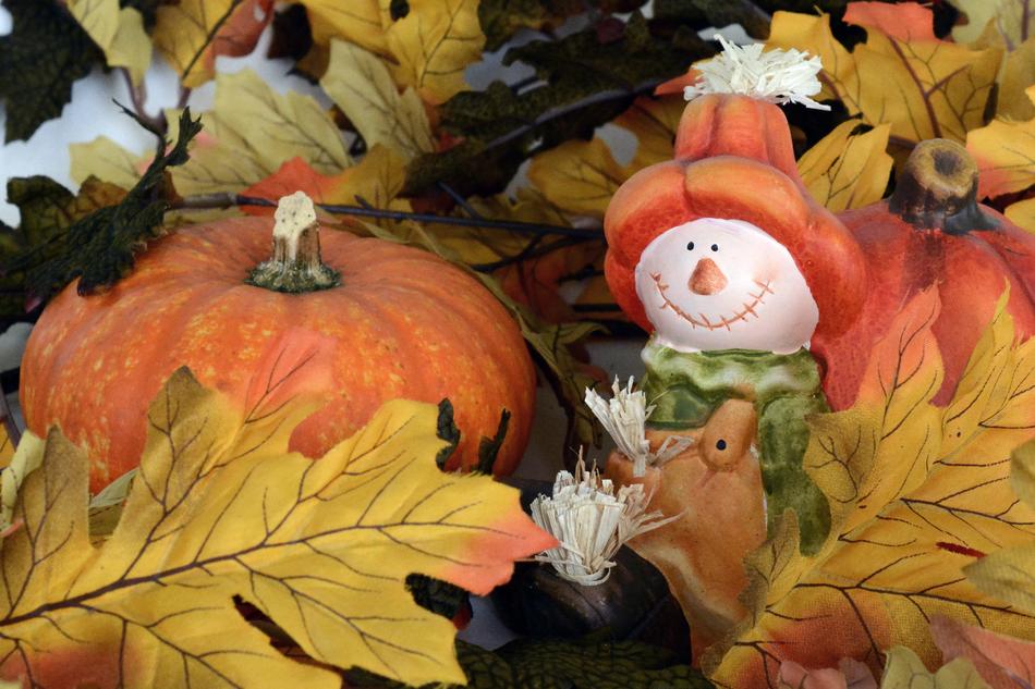 Autumn Golden Leaves harvest