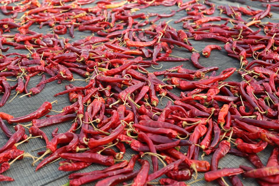 red Spice Peppers