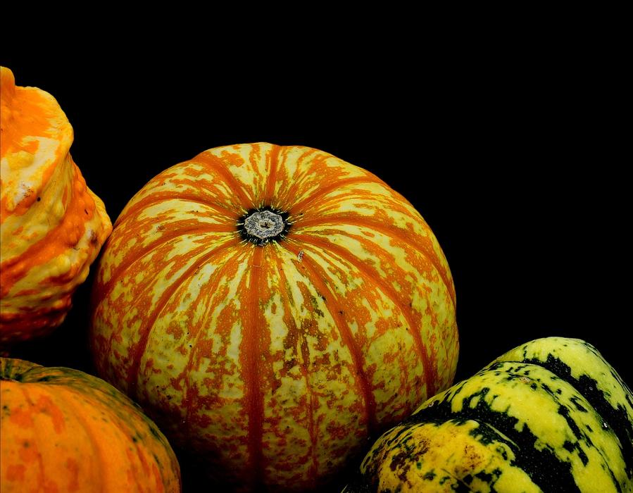 Close-up of the colorful and beautiful, patterned pumpkins, at black background