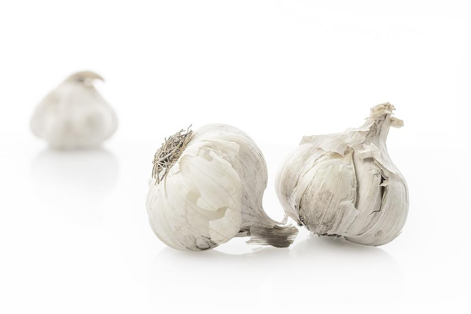 Garlic Vegetables Food