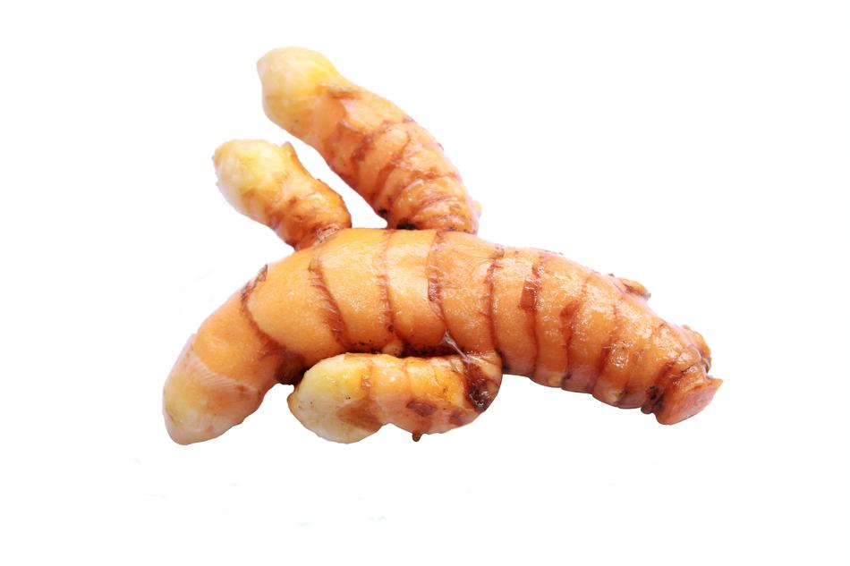 Turmeric Herb Plants