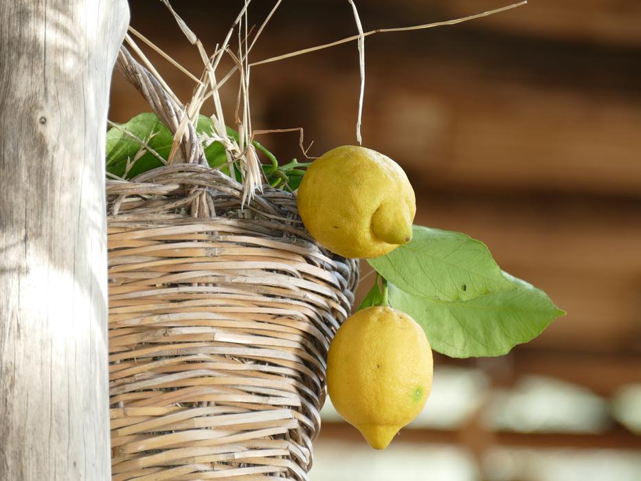 Food Wood Fruit