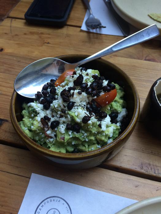 Mexican Food Mexico Ants