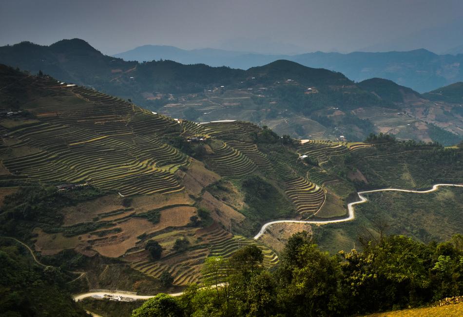 Vietnam Northern Circuit Rice