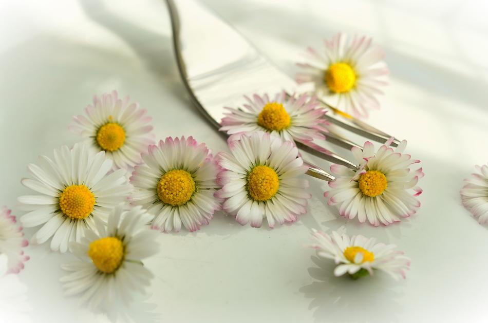 Daisy Flowers and fork