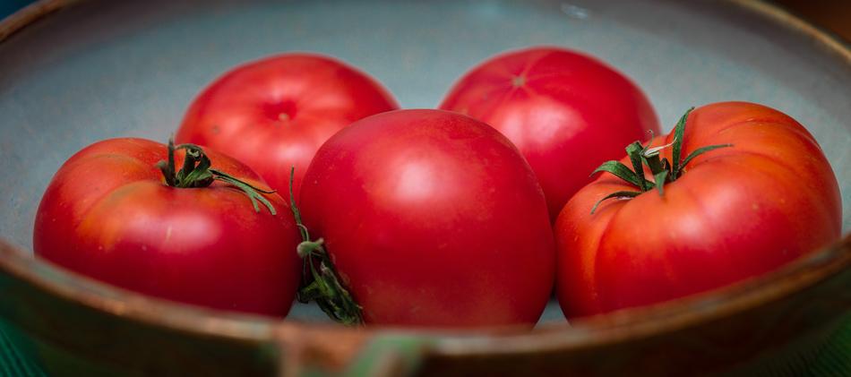 Tomatoes Shell Red