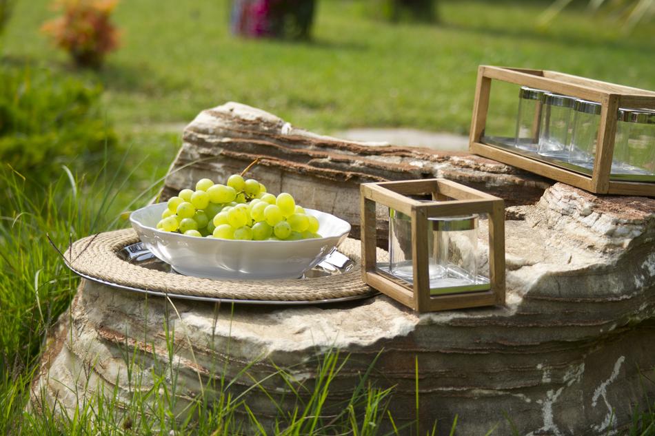 Raisin Fruit Garden