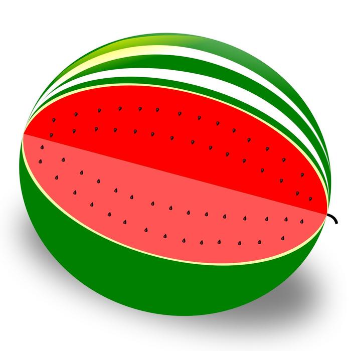 Green and white watermelon, with yellow shade, at white background, clipart