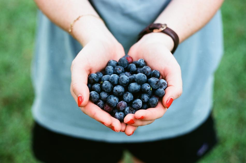 Blueberry Fruit Food