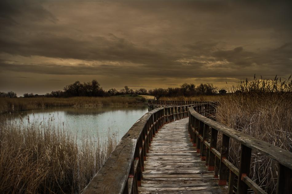 Daimiel Nature The Tables
