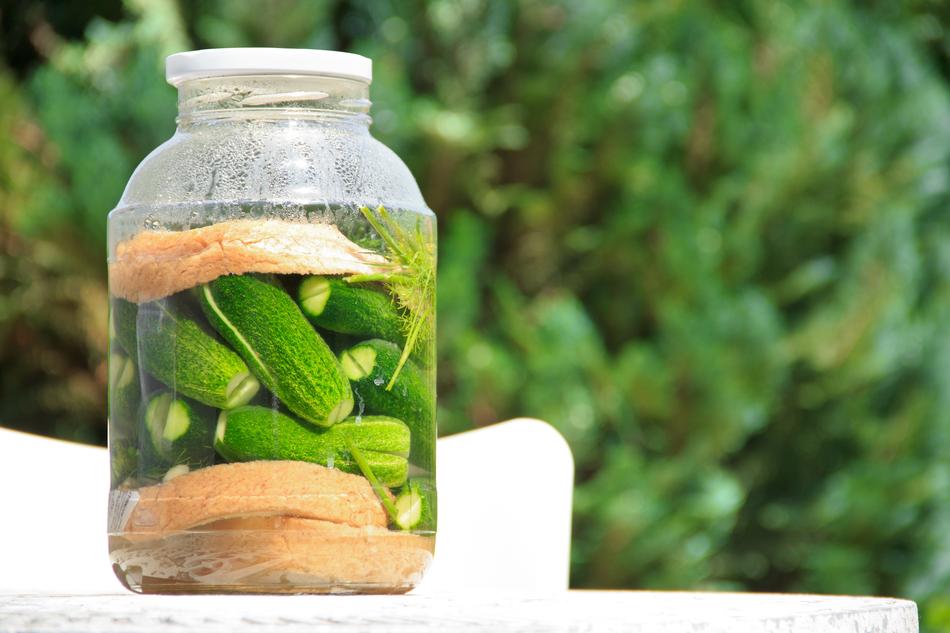 Pickled Cucumber Food