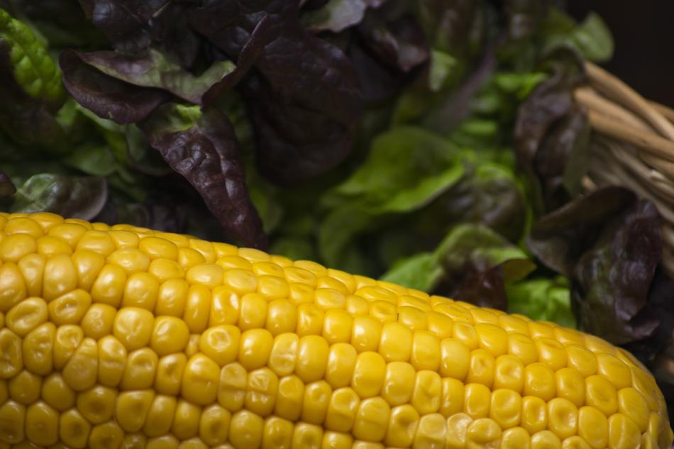 Corn Lettuce Healthy
