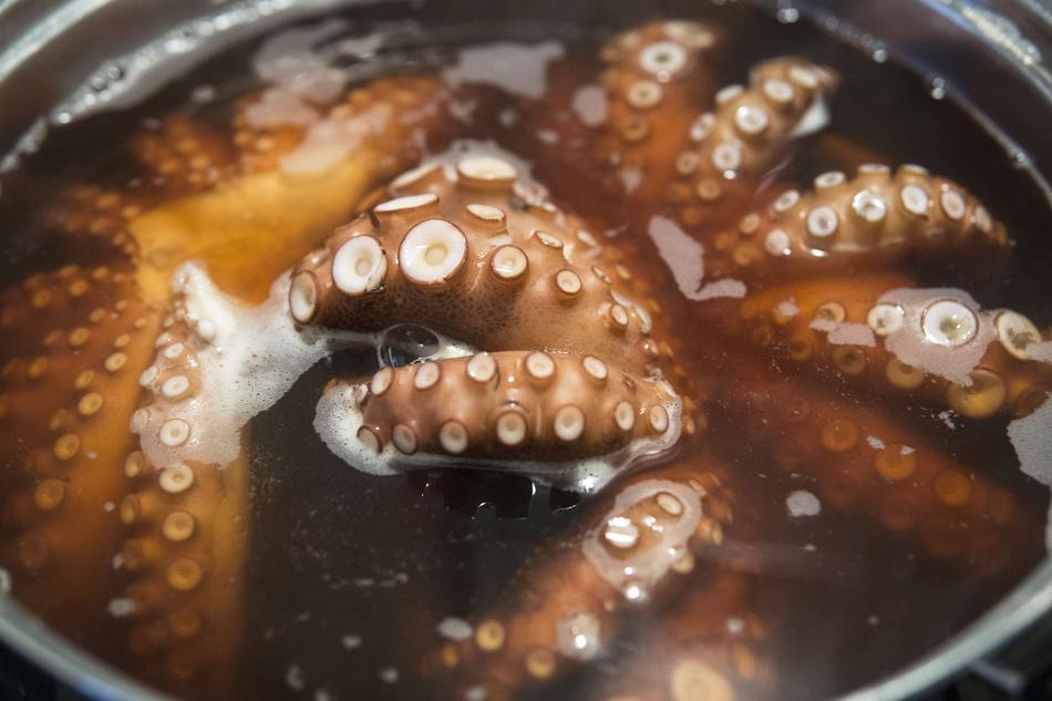 Cooking octopus in the liquid