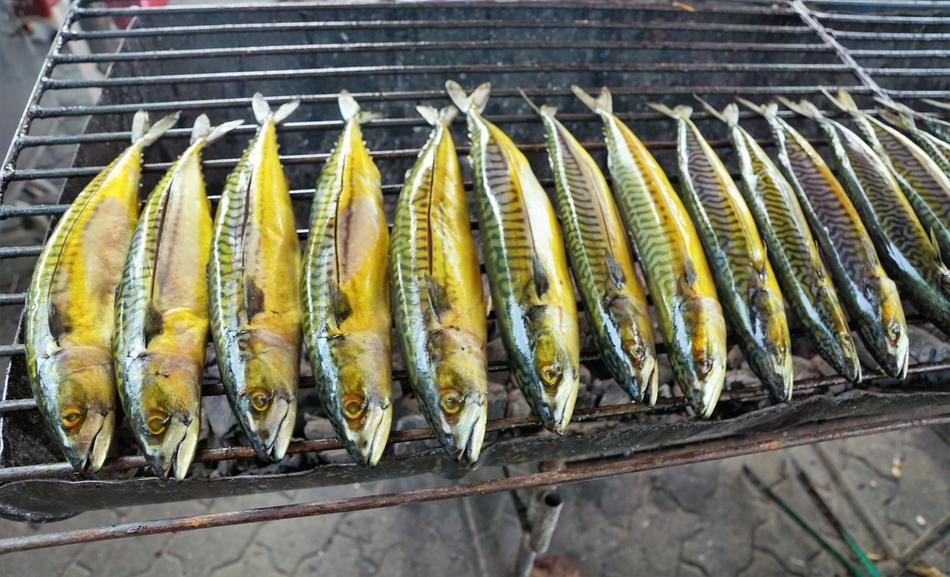 Food Fish Nature