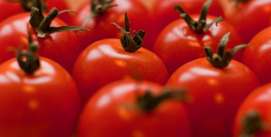 Tomatoes Red Fruit