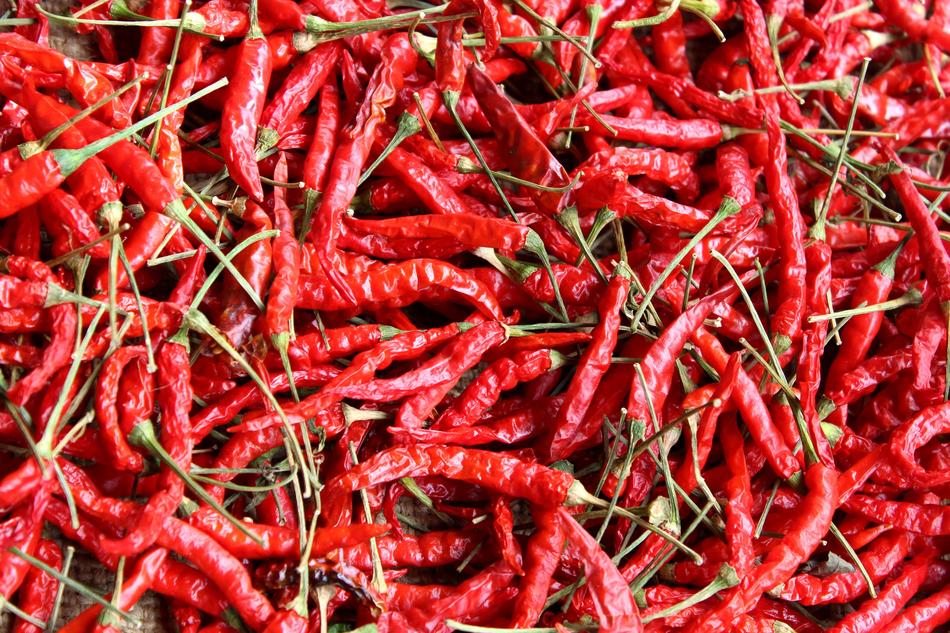 Farmland Chilli Rai