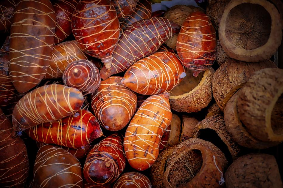 Close Up photo of nutshells Food Background