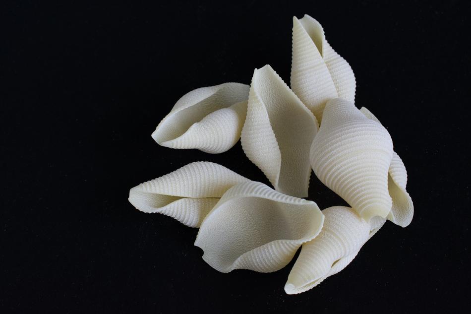 Food Background Pasta