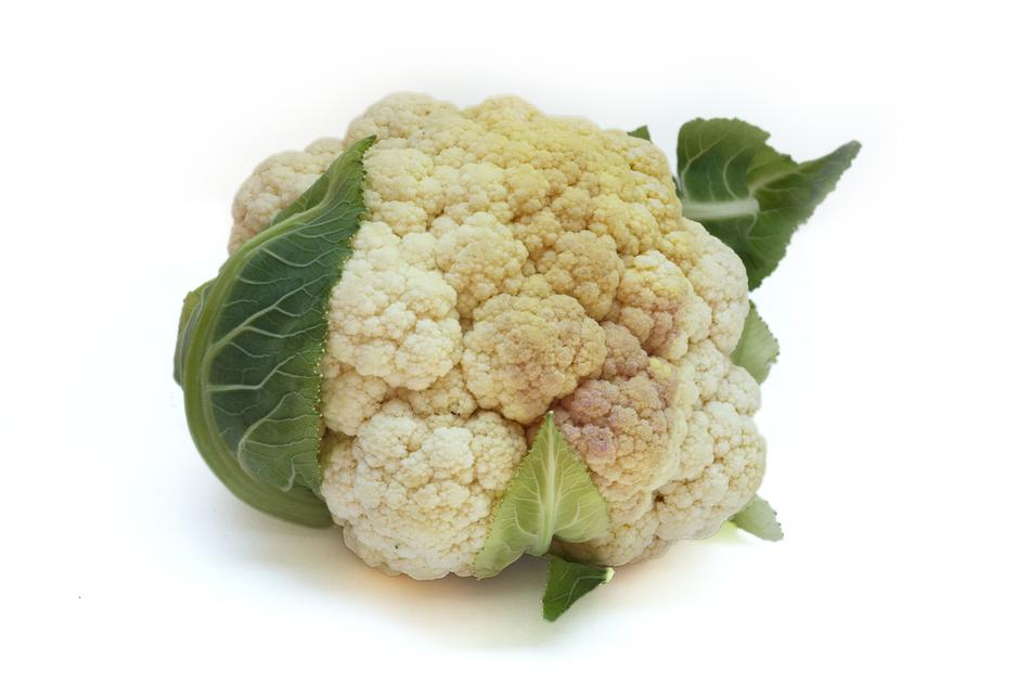 Cabbage Color White