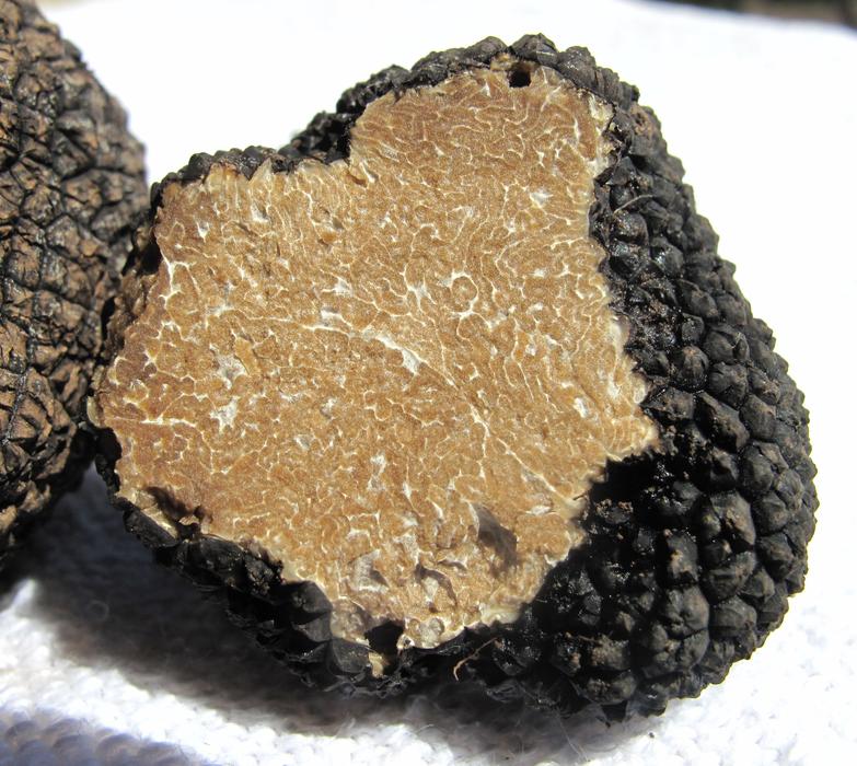 Truffle Real Mushroom