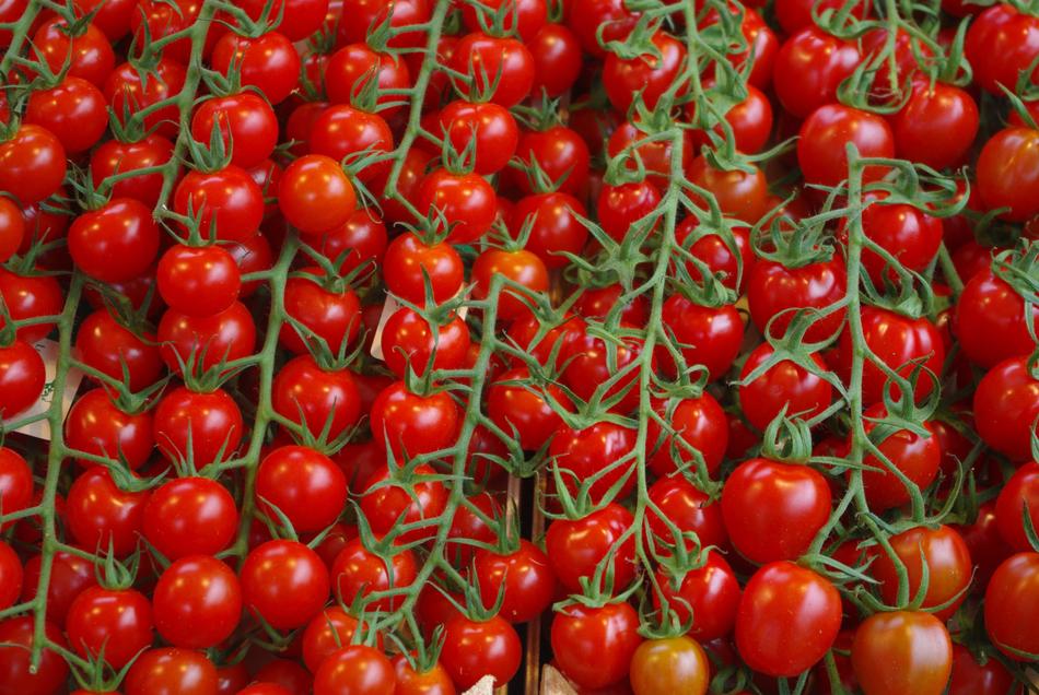 Tomatoes Vegetables Plant