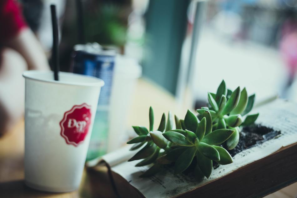 Coffee Creative Cup