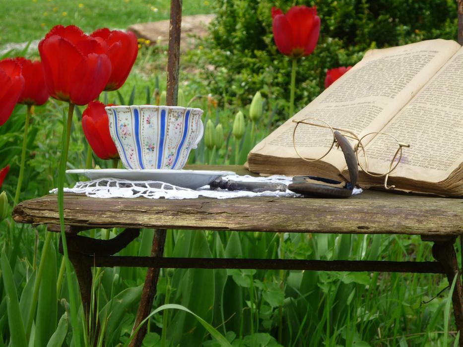 Tulips Book Glasses