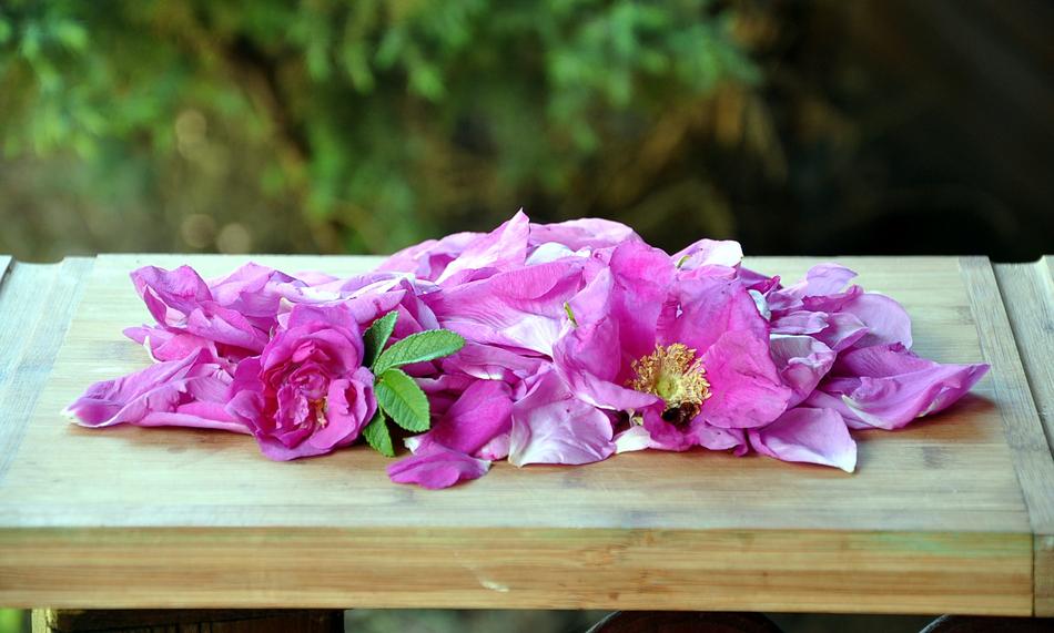 Rose The Petals Jam