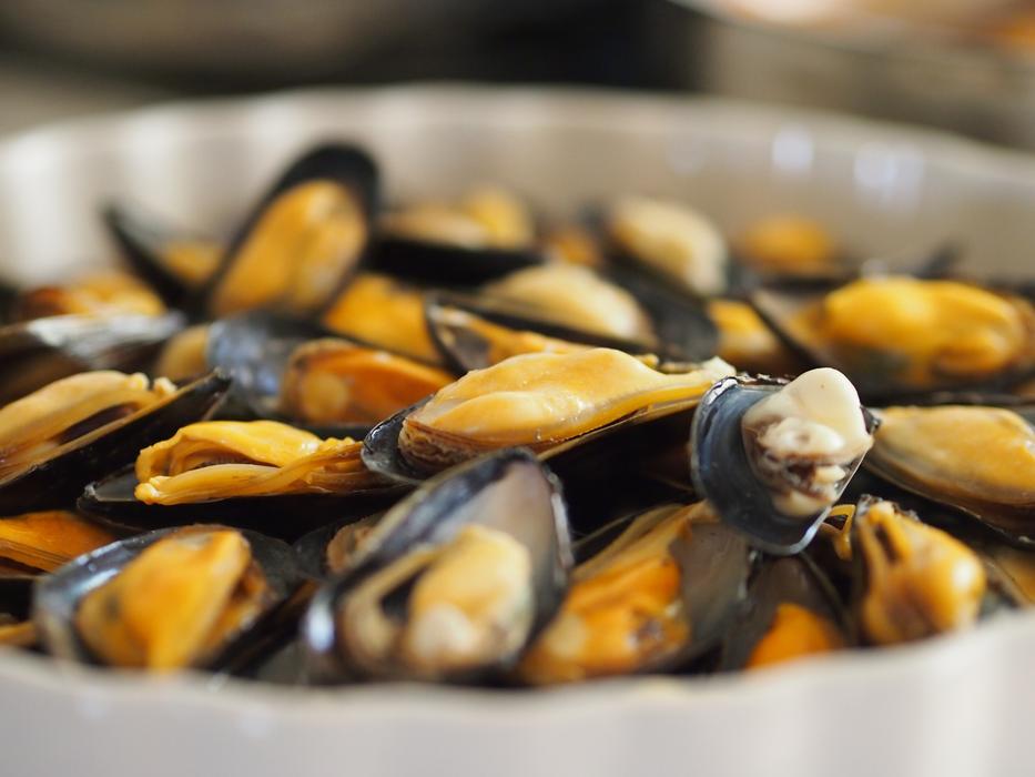 Seafood Molluscs Clams