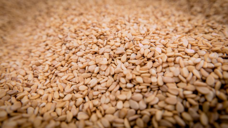 Sesame Seeds Sesamum