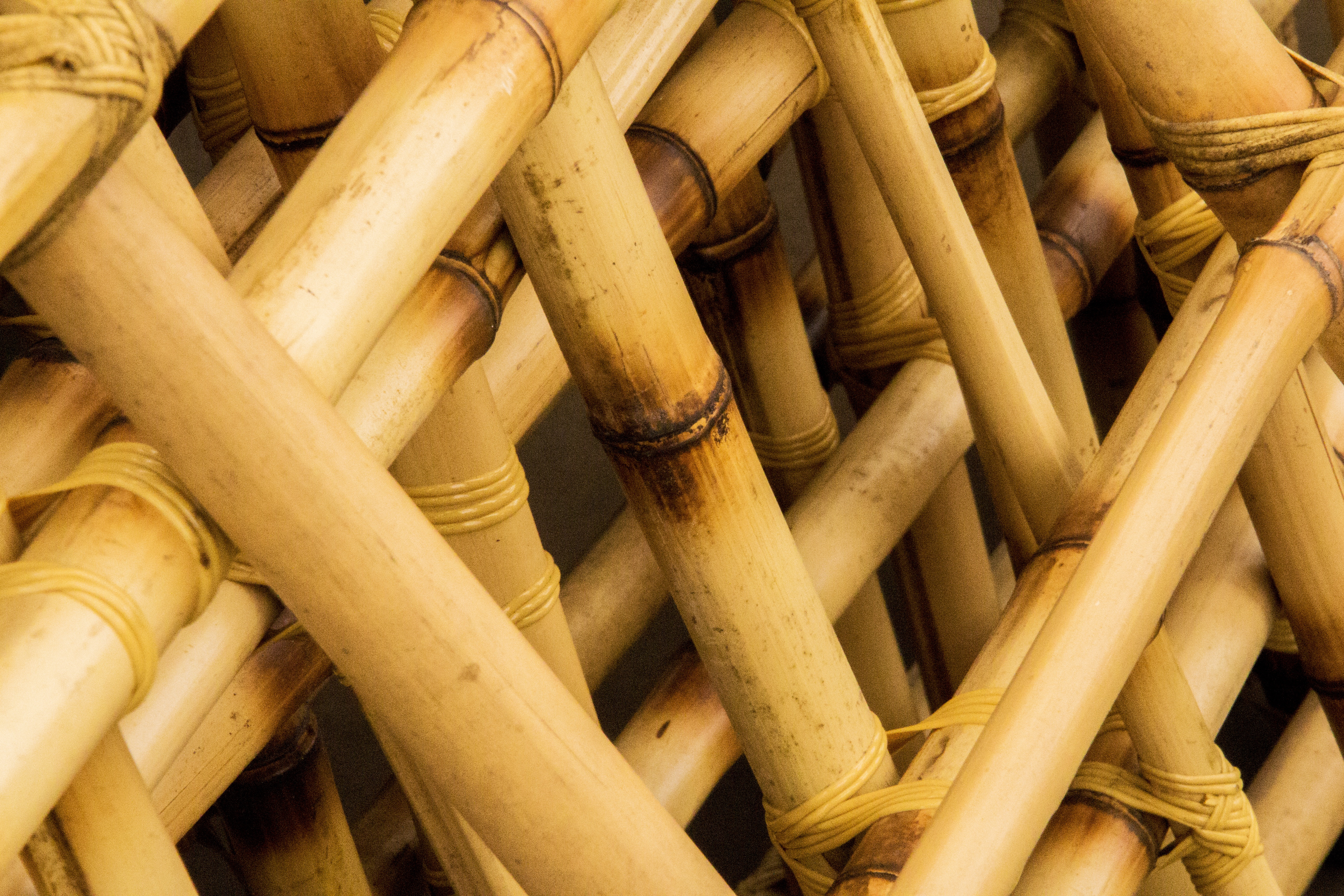 Паттерн из стволов бамбука