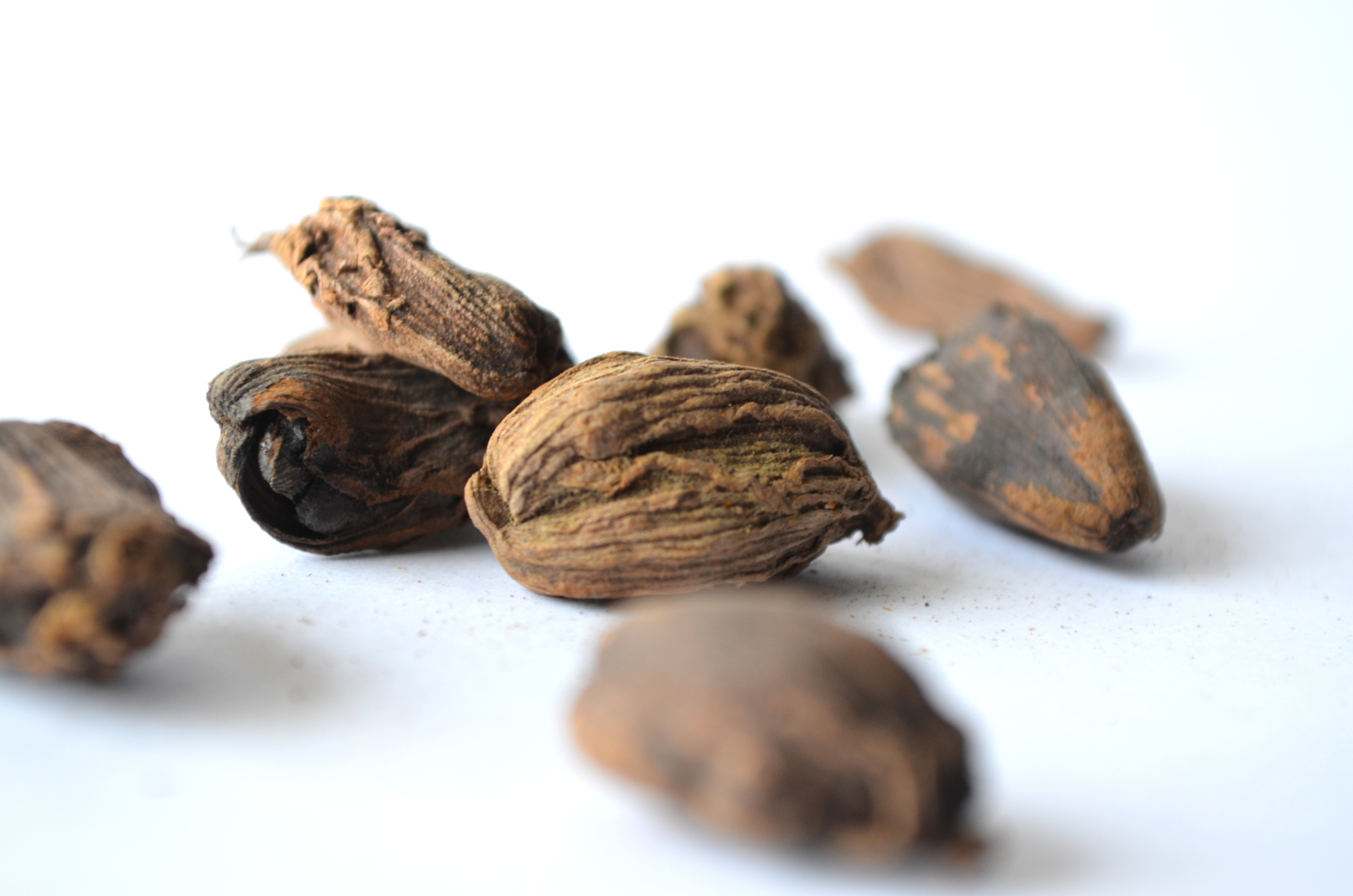 Nutmeg Spice Seeds free image download