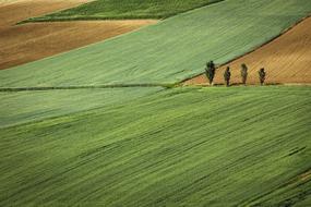 Nature Land Plains