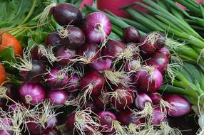 Onions Red Green Vegetables