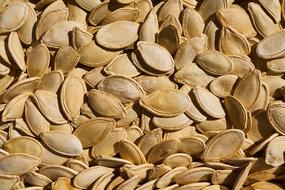 Pumpkin Seeds Seed