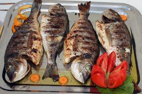 Fish Grilled Dinner