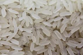 Rice Food Edible
