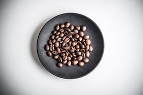 Coffee Bean