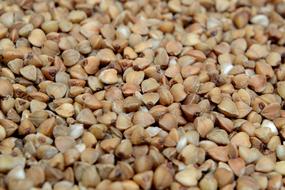 Buckwheat Food Nutrition