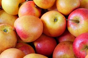Apple Ripe Red
