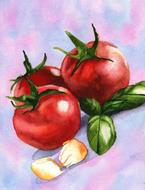 Beautiful and colorful, Italian painting of the tomatoes, garlic and basil, at colorful background, clipart