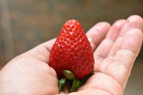 Strawberry Fruit Food