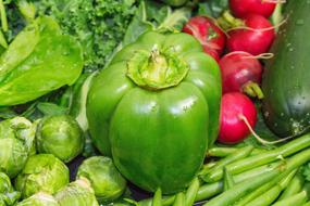 Healthy Vegetables harvest