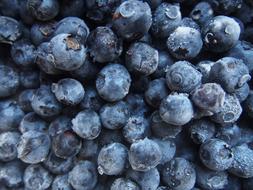 Blueberries Fruits Food