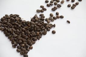 Coffee Seeds Bean