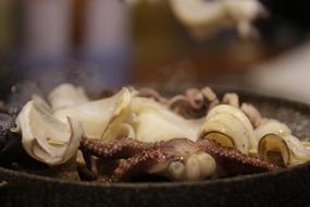 Squid Food Seafood