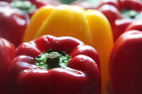 harvest of red and yellow peppers