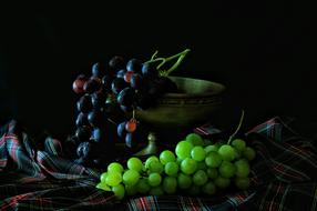 Grapes Fruit Bunch