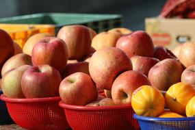 Food Fruit Vegetable